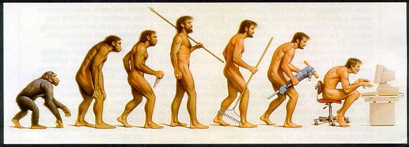 Humans evolving